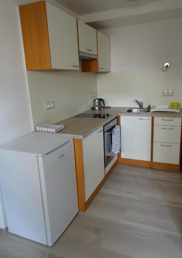 Apartman Karovi Destne v Orlickych horach Exterior foto